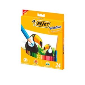 Lápis De Cor Evolution 24 Cores - Bic