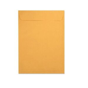Envelope Kraft Ouro 162x229mm 80g c/100 Unidades Reipel
