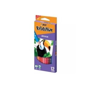 Lápis de Cor Evolution 12 Cores - BIC